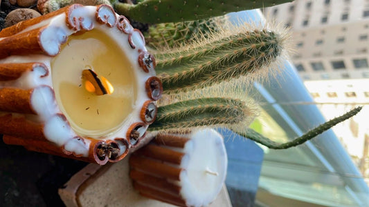 Guia de Aromas: Criando a Atmosfera Perfeita para Cada Momento