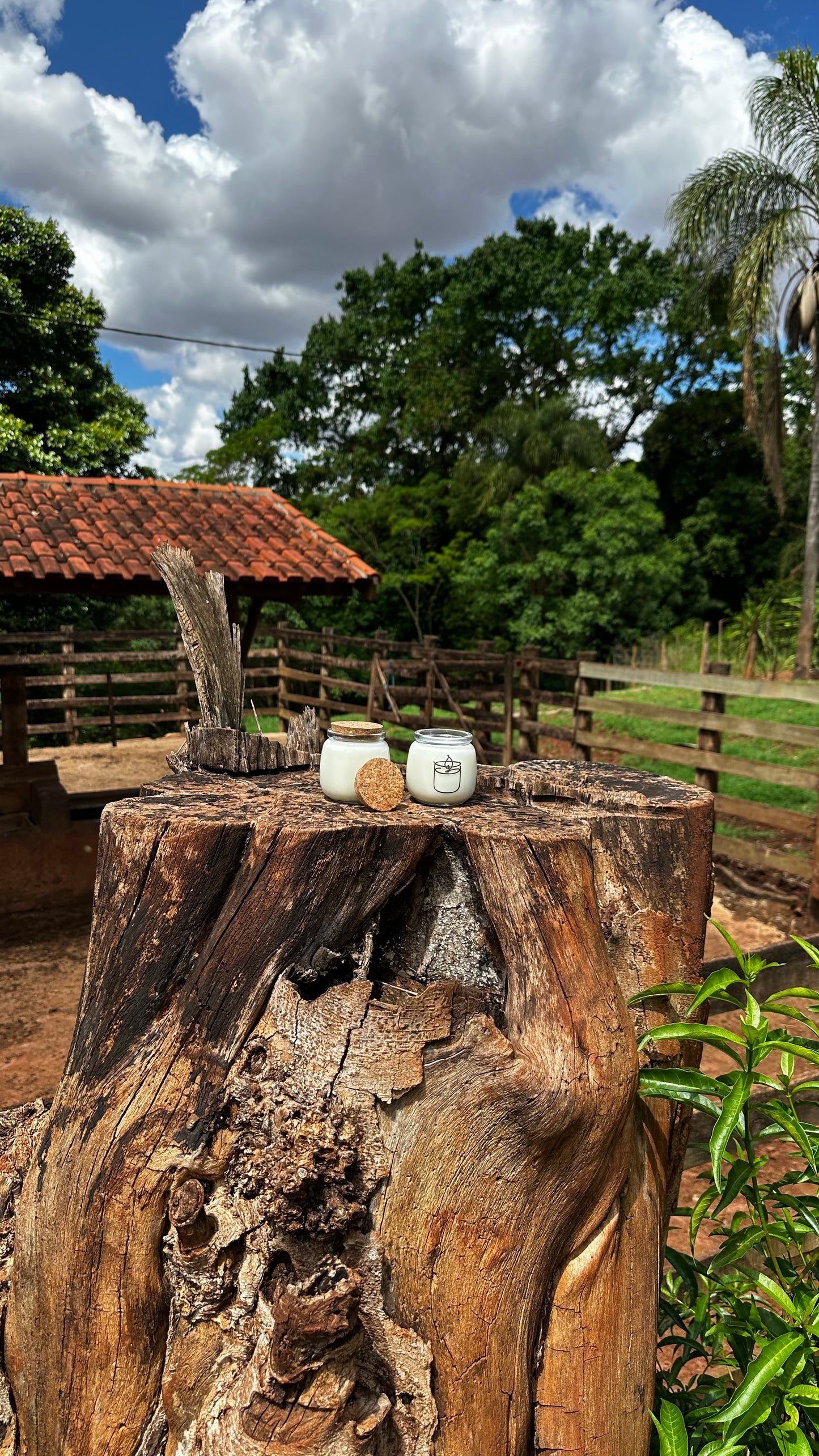 Vela Essência da Terra 200g