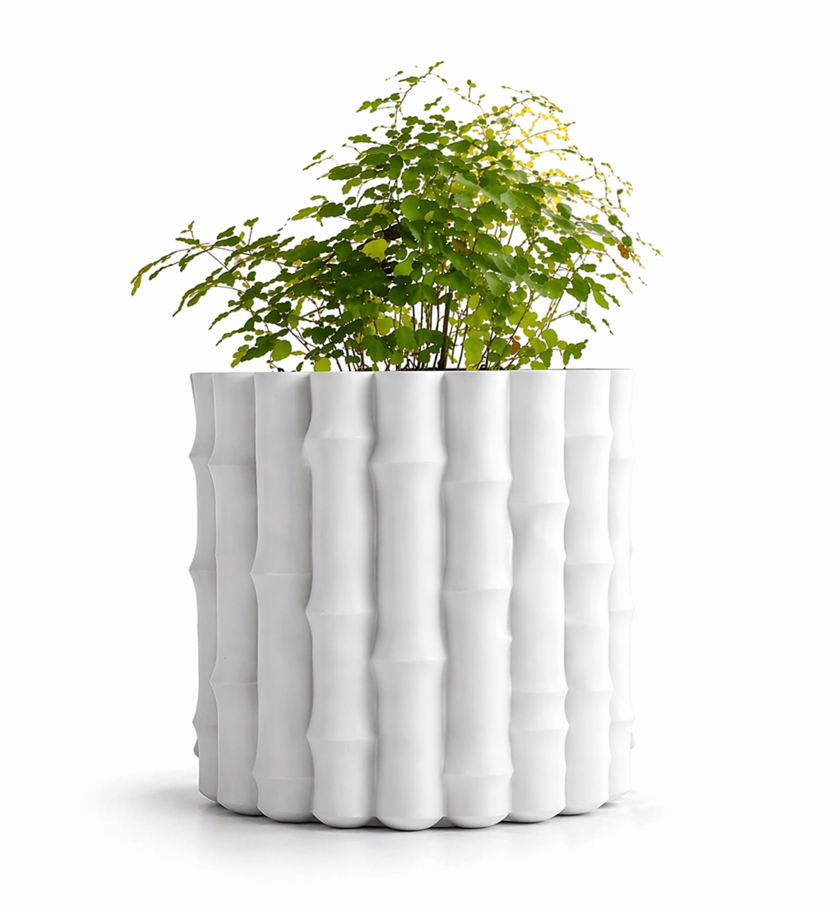 Vaso Decorativo Orgânico – Impressão 3D